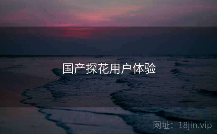 国产探花用户体验 国产探花用户体验