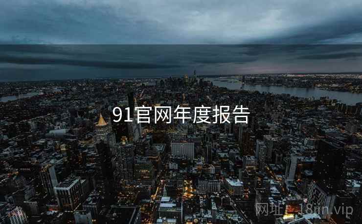 91官网年度报告