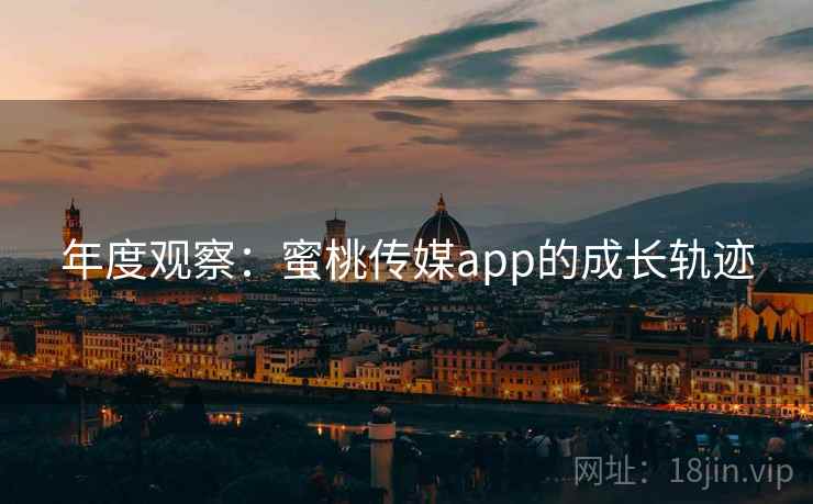 年度观察：蜜桃传媒app的成长轨迹