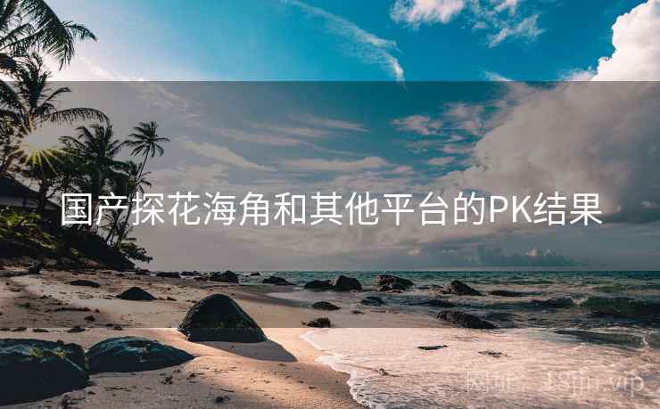 国产探花海角和其他平台的PK结果