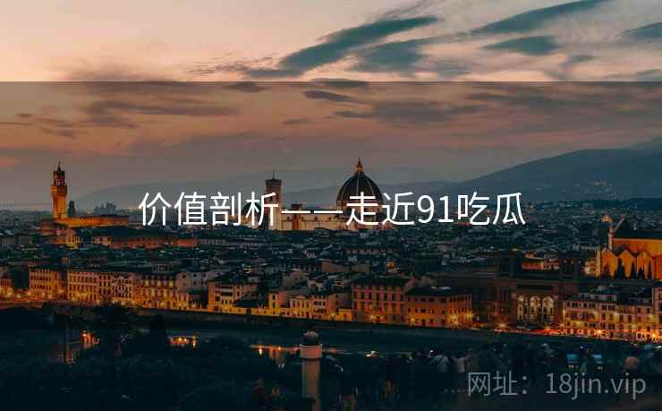 价值剖析——走近91吃瓜