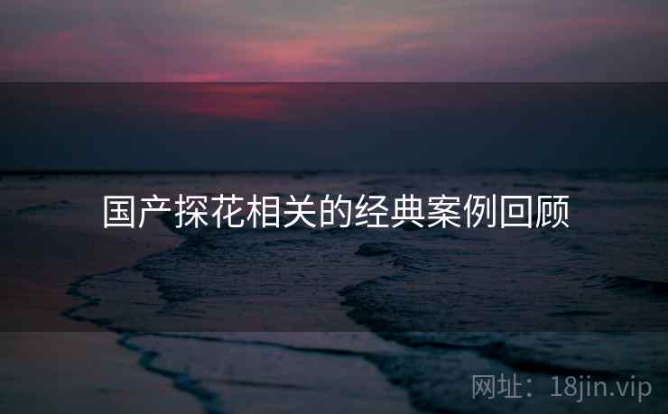 国产探花相关的经典案例回顾